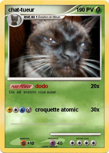 Pokemon chat-tueur
