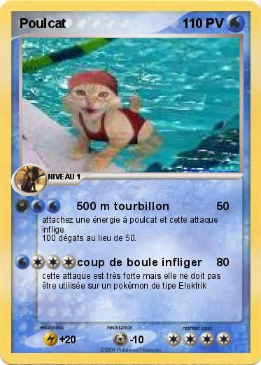 Pokemon Poulcat