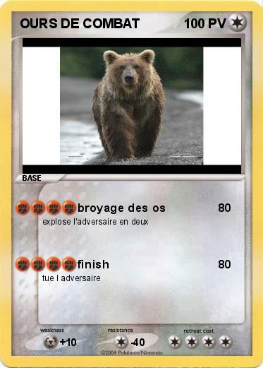 Pokemon OURS DE COMBAT