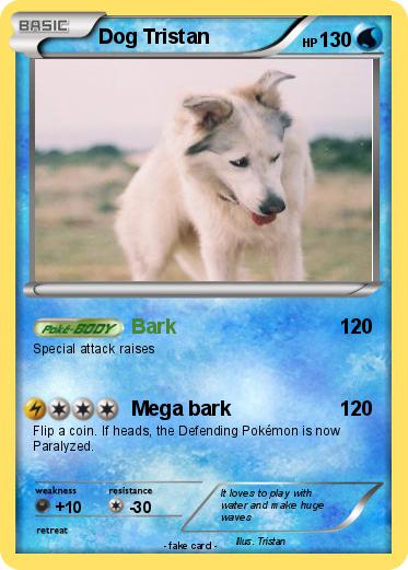 Pokemon Dog Tristan
