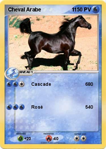Pokemon Cheval Arabe                     1