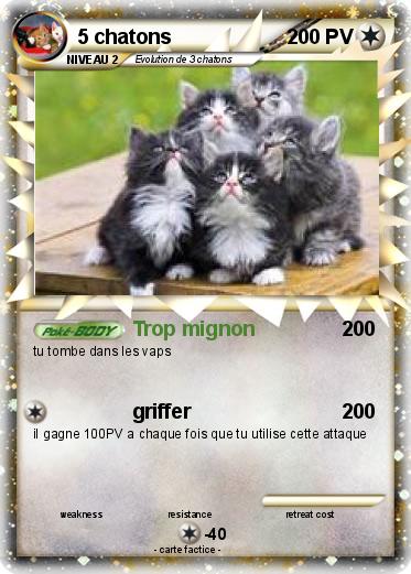 Pokemon 5 chatons