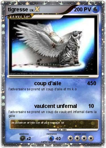 Pokemon tigresse