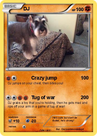 Pokemon DJ