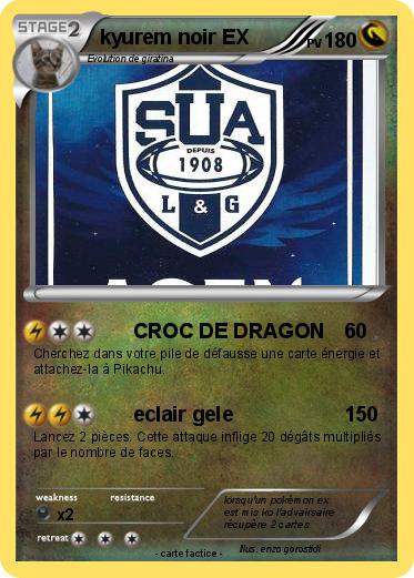 Pokemon kyurem noir EX