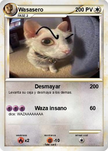 Pokemon Wasasero