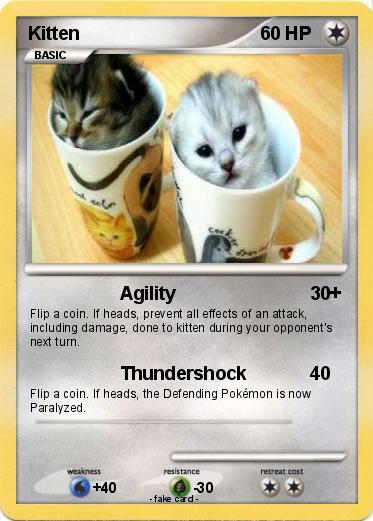 Pokemon Kitten