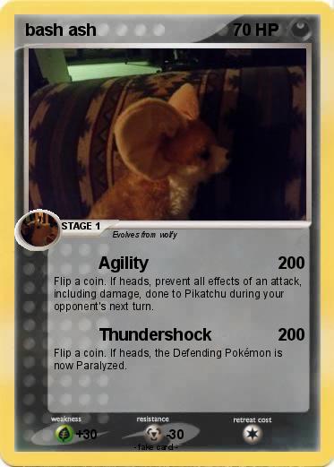 Pokemon bash ash
