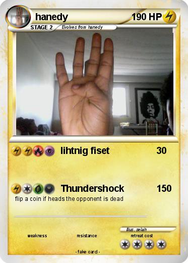 Pokemon hanedy