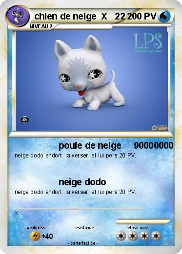 Pokemon chien de neige  X   22