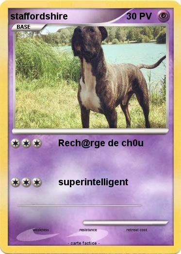 Pokemon staffordshire