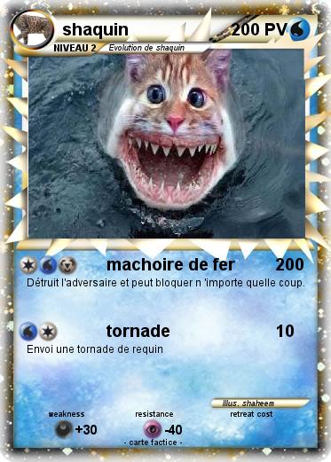 Pokemon shaquin
