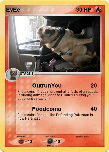 Pokemon EvEe