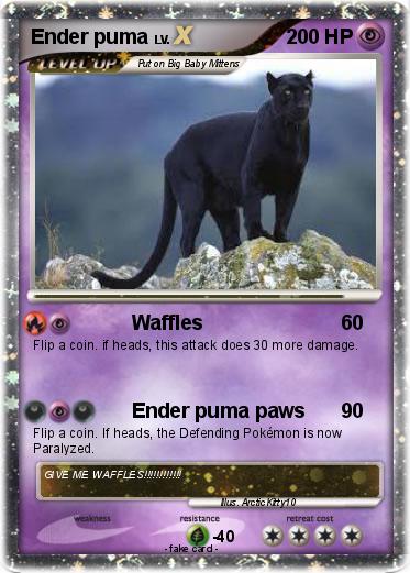 Pokemon Ender puma