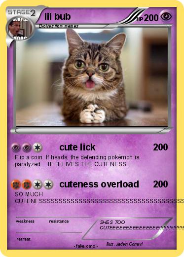 Pokemon lil bub