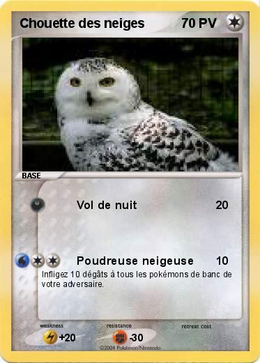 Pokemon Chouette des neiges