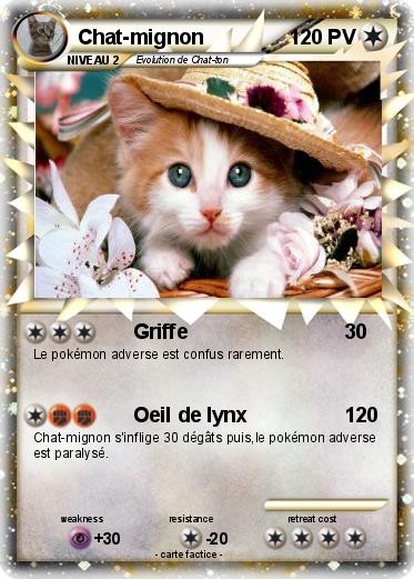 Pokemon Chat-mignon
