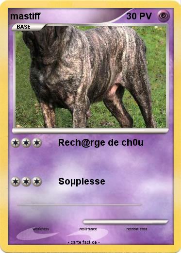 Pokemon mastiff