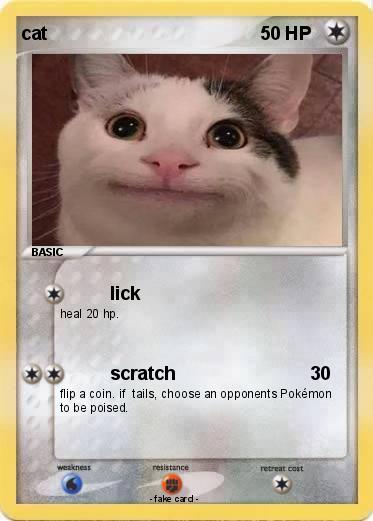 Pokemon cat