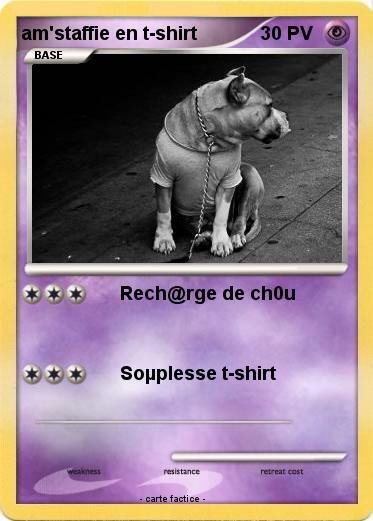 Pokemon am'staffie en t-shirt