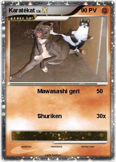 Pokemon Karatékat