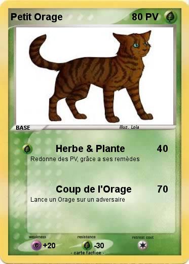 Pokemon Petit Orage