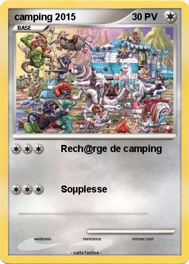 Pokemon camping 2015