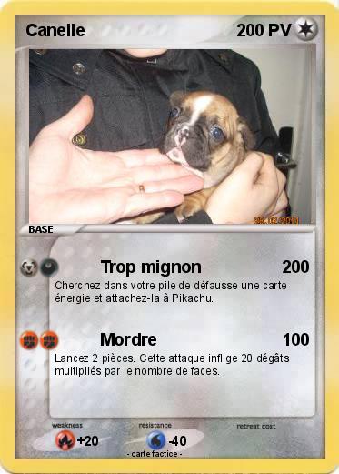 Pokemon Canelle