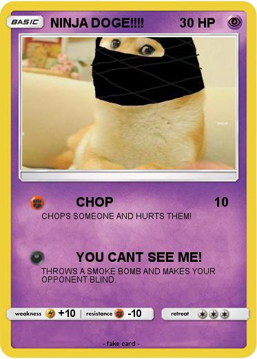 Pokemon NINJA DOGE!!!!
