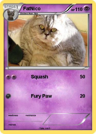 Pokemon FatNico