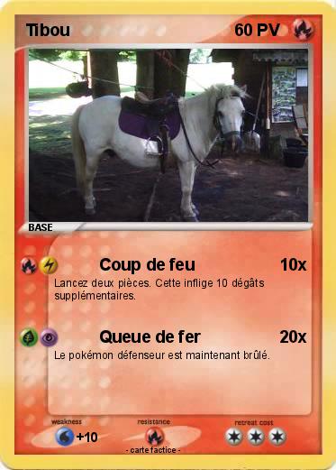 Pokemon Tibou