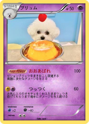 Pokemon プリュム