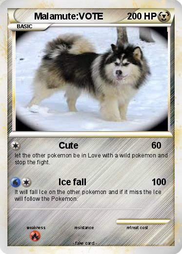 Pokemon Malamute:VOTE