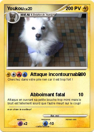Pokemon Youkou