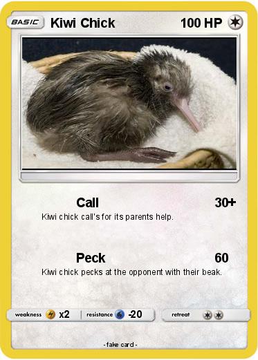 Pokemon Kiwi Chick