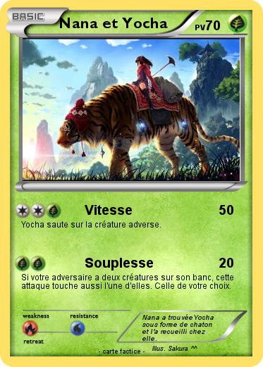 Pokemon Nana et Yocha