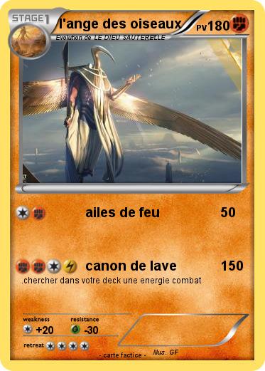 Pokemon l'ange des oiseaux