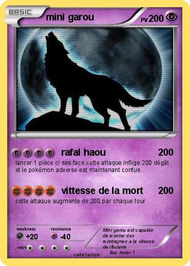 Pokemon mini garou
