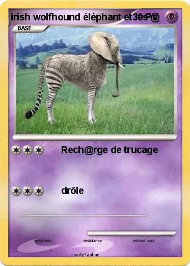 Pokemon irish wolfhound éléphant et les @
