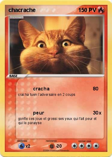 Pokemon chacrache
