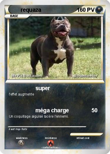 Pokemon requaza