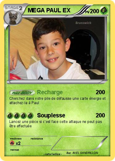 Pokemon MEGA PAUL EX