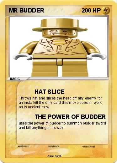 Pokemon MR BUDDER