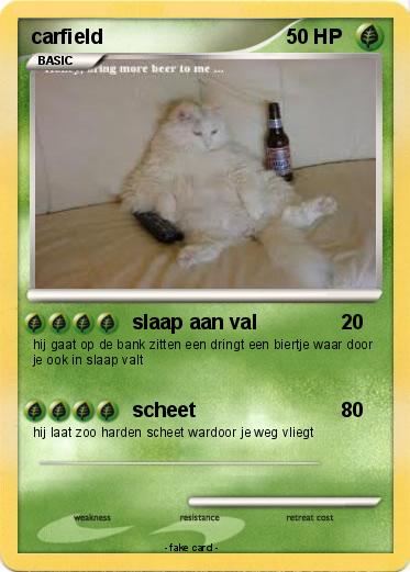Pokemon carfield