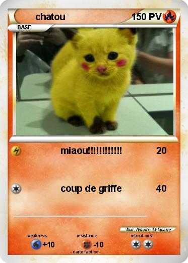 Pokemon chatou