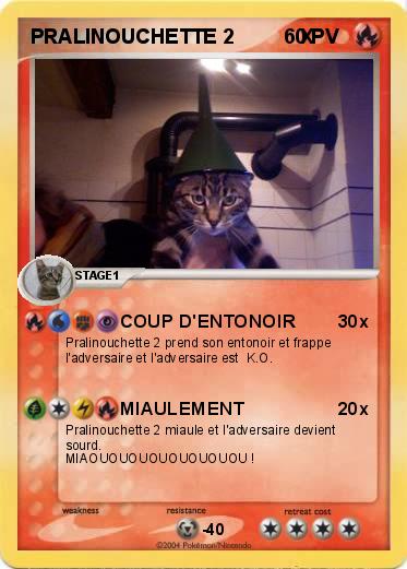 Pokemon PRALINOUCHETTE 2            X