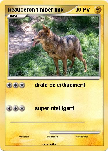 Pokemon beauceron timber mix