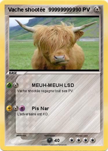 Pokemon Vache shootée  999999999