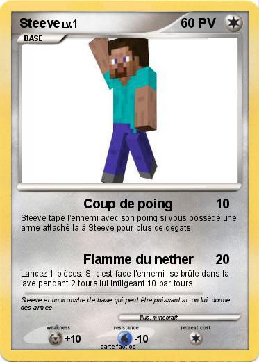 Pokemon Steeve