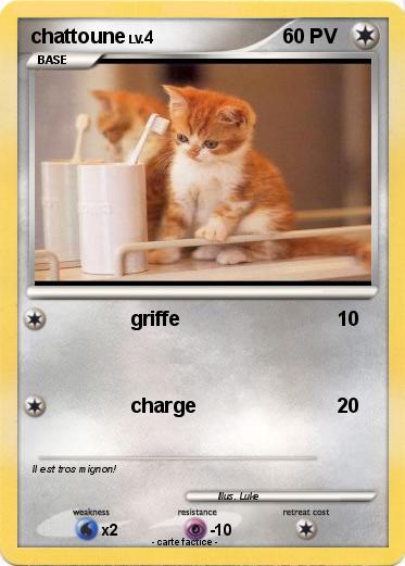 Pokemon chattoune